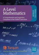 A-Level Mathematics Year 1 Worked Solutions di Tom Bennison, Ed Hall edito da Tarquin
