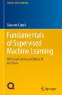 Fundamentals Of Supervised Machine Learning di Giovanni Cerulli edito da Springer International Publishing