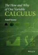 The How and Why of One Variable Calculus di Amol Sasane edito da John Wiley and Sons Ltd