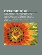Reptiles de Brasil di Fuente Wikipedia edito da Books LLC, Reference Series