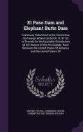 El Paso Dam And Elephant Butte Dam edito da Palala Press