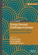 Energy Demand Challenges in Europe edito da Springer International Publishing
