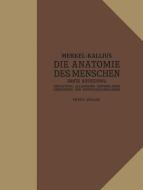 Die Anatomie des Menschen di Erich Kallius, Friedrich Merkel edito da Springer Berlin Heidelberg
