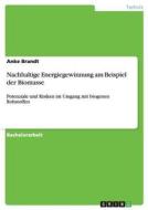 Nachhaltige Energiegewinnung am Beispiel der Biomasse di Anke Brandt edito da GRIN Verlag