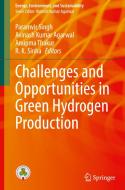 Challenges and Opportunities in Green Hydrogen Production edito da Springer