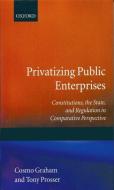 Privatizing Public Enterprises: Constitutions, the State, and Regulation in Comparative Perspective di Cosmo Graham, Tony Prosser edito da OXFORD UNIV PR