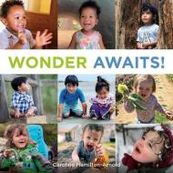 Wonder Awaits! di Caroline Hamilton Arnold edito da CHALICE PR