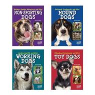 Dog Encyclopedias di Tammy Gagne edito da CAPSTONE PR