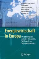 Energiewirtschaft in Europa edito da Springer Berlin Heidelberg