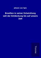 Brasilien in seiner Entwicklung seit der Entdeckung bis auf unsere Zeit di Johann von Spix edito da TP Verone Publishing