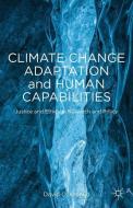 Climate Change Adaptation and Human Capabilities di D. Kronlid edito da Palgrave Macmillan US