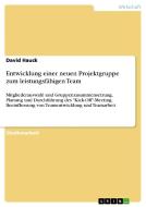 Entwicklung Einer Neuen Projektgruppe Zum Leistungsf Higen Team di David Hauck edito da Grin Publishing