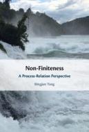 Non-Finiteness di Bingjun Yang edito da Cambridge University Press