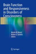 Brain Function And Responsiveness In Disorders Of Consciousness edito da Springer International Publishing Ag