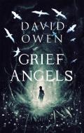 Grief Angels di David Owen edito da Little, Brown Book Group
