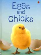 Eggs and Chicks di Fiona Patchett edito da Usborne Books