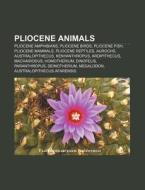 Pliocene Animals: Ecphora Gardnerae Gard di Books Llc edito da Books LLC, Wiki Series