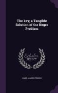 The Key; A Tangible Solution Of The Negro Problem di James Samuel Stemons edito da Palala Press