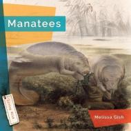 Manatees di Melissa Gish edito da CREATIVE ED & PAPERBACKS
