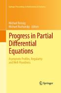 Progress in Partial Differential Equations edito da Springer International Publishing