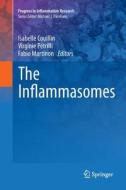 The Inflammasomes edito da Springer Basel
