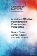 American Affective Polarization In Comparative Perspective di Noam Gidron, James Adams, Will Horne edito da Cambridge University Press