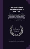 The Consolidated Laws Of The State Of New York di New York, Adolph Julius Rodenbeck edito da Palala Press