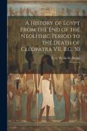 A History of Egypt From the end of the Neolithic Period to the Death of Cleopatra VII, B.C. 30: 4 di E. A. Wallis Budge edito da LEGARE STREET PR