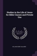 Studies in the Life of Jesus for Bible Classes and Private Use di William Henry Sallmon edito da CHIZINE PUBN