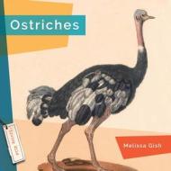Ostriches di Melissa Gish edito da CREATIVE ED & PAPERBACKS