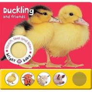 Touch, Feel And Listen - Duckling And Friends edito da Priddy Books
