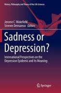 Sadness or Depression? edito da Springer Netherlands