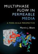 Multiphase Flow in Permeable Media di Martin J. (Imperial College of Science Blunt edito da Cambridge University Press
