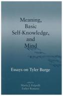 Meaning, Basic Self-knowledge And Mind di M.J. Frapolli, Esther Romero edito da Centre For The Study Of Language & Information