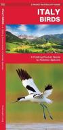 Italy Birds di James Kavanagh edito da Waterford Press Ltd