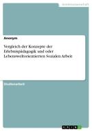 Vergleich der Konzepte der Erlebnispädagogik und oder Lebensweltorientierten Sozialen Arbeit di Anonym edito da GRIN Verlag