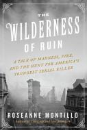 The Wilderness of Ruin: A Tale of Madness, Fire, and the Hunt for America's Youngest Serial Killer di Roseanne Montillo edito da WILLIAM MORROW