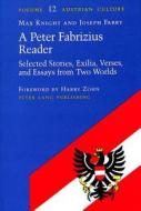 A Peter Fabrizius Reader di Peter Fabrizius edito da Lang, Peter