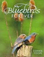 Bluebirds Forever di TOOPS edito da Motorbooks International