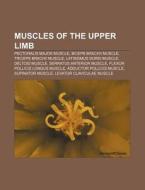 Muscles Of The Upper Limb: Pectoralis Ma di Books Llc edito da Books LLC, Wiki Series