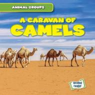A Caravan of Camels di Seth Lynch edito da GARETH STEVENS INC