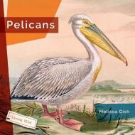Pelicans di Melissa Gish edito da CREATIVE ED & PAPERBACKS
