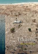 Tsunami di Richard Hamblyn edito da Reaktion Books