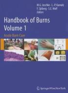 Handbook Of Burns edito da Springer Verlag Gmbh