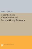 Neighborhood Organization and Interest-Group Processes di David J. O'Brien edito da Princeton University Press
