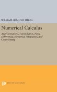 Numerical Calculus di William Edmund Milne edito da Princeton University Press