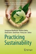 Practicing Sustainability edito da Springer-Verlag GmbH