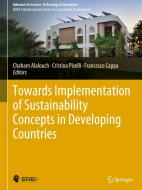 Towards Implementation of Sustainability Concepts in Developing Countries edito da Springer International Publishing