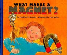 What Makes a Magnet? di Franklyn Mansfield Branley edito da Perfection Learning