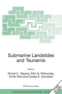 Submarine Landslides and Tsunamis edito da Springer Netherlands